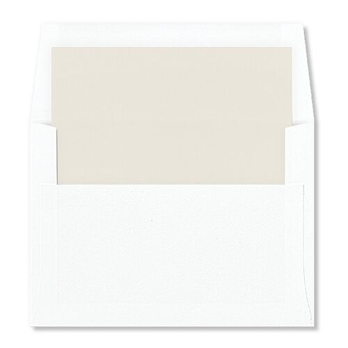 Gilded Sprigs Standard Envelope Liners Biscotti Standard