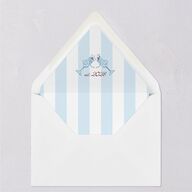 Whimsical Retro Cartoon Euro Envelope Liners Baby Blue Luxe