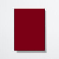 Christmas Poinsettia Wedding Invitations Ruby Signature No