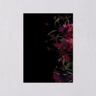 Midnight Floral Wedding Enclosure Cards Gold Raspberry Signature Standard