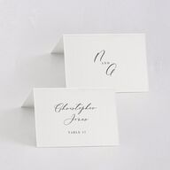 Timeless Script Place Cards Medieval Grey Signature