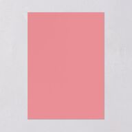 Vibrant Bold Rehearsal Dinner Invitations Hot Pink Signature Blank