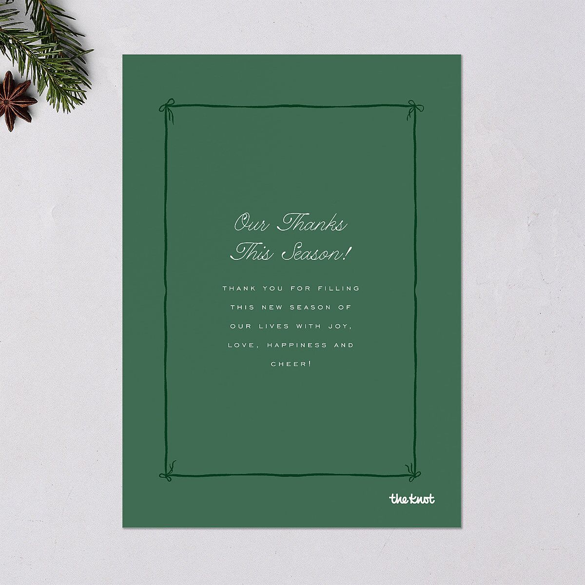 Whimsical Hand Drawn Photo Frames Holiday Cards Eucalyptus Signature Blank Standard Portrait