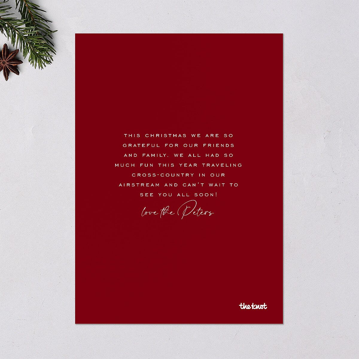 Illustrated Winter Frame Holiday Cards Jewel Red Signature Blank Standard Portrait
