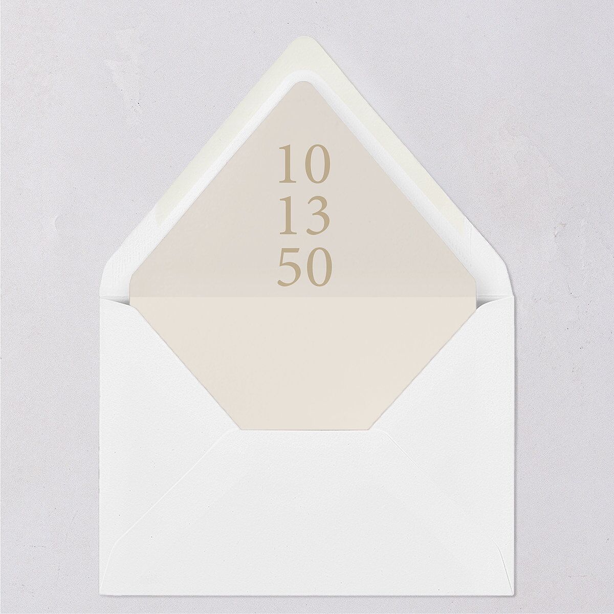 Handwritten Photo Faux Postcard Euro Envelope Liners Sand Luxe
