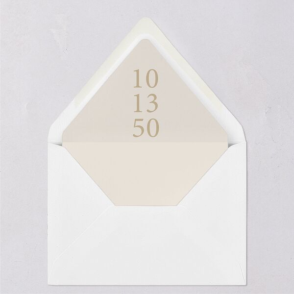 Handwritten Photo Faux Postcard Euro Envelope Liners Sand Luxe