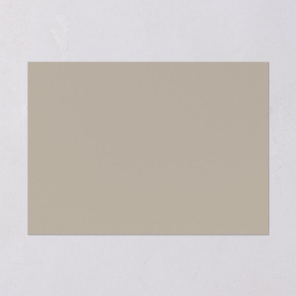 Photo Arch Rehearsal Dinner Invitations Taupe Signature Blank Standard