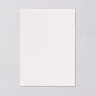 Southern Magnolia Wedding Invitations Midnight Signature Blank No Standard
