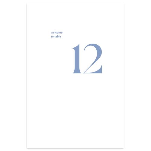 Checked Table Numbers Baby Blue Signature