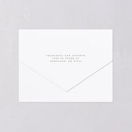 Elegant Italy All-in-One Wedding Invitations Thyme Signature Light Both Recipient and Return Addresses No