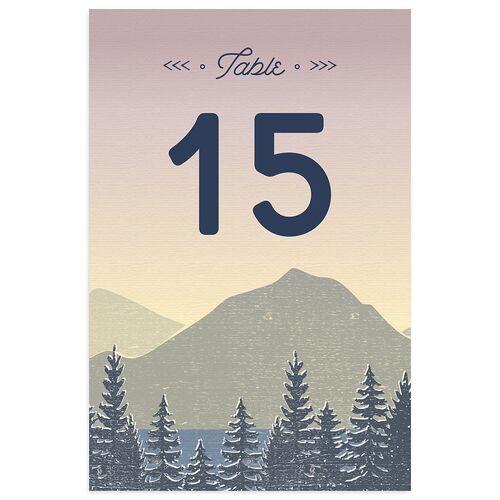 Vintage Mountain Table Numbers Rose Quartz Signature