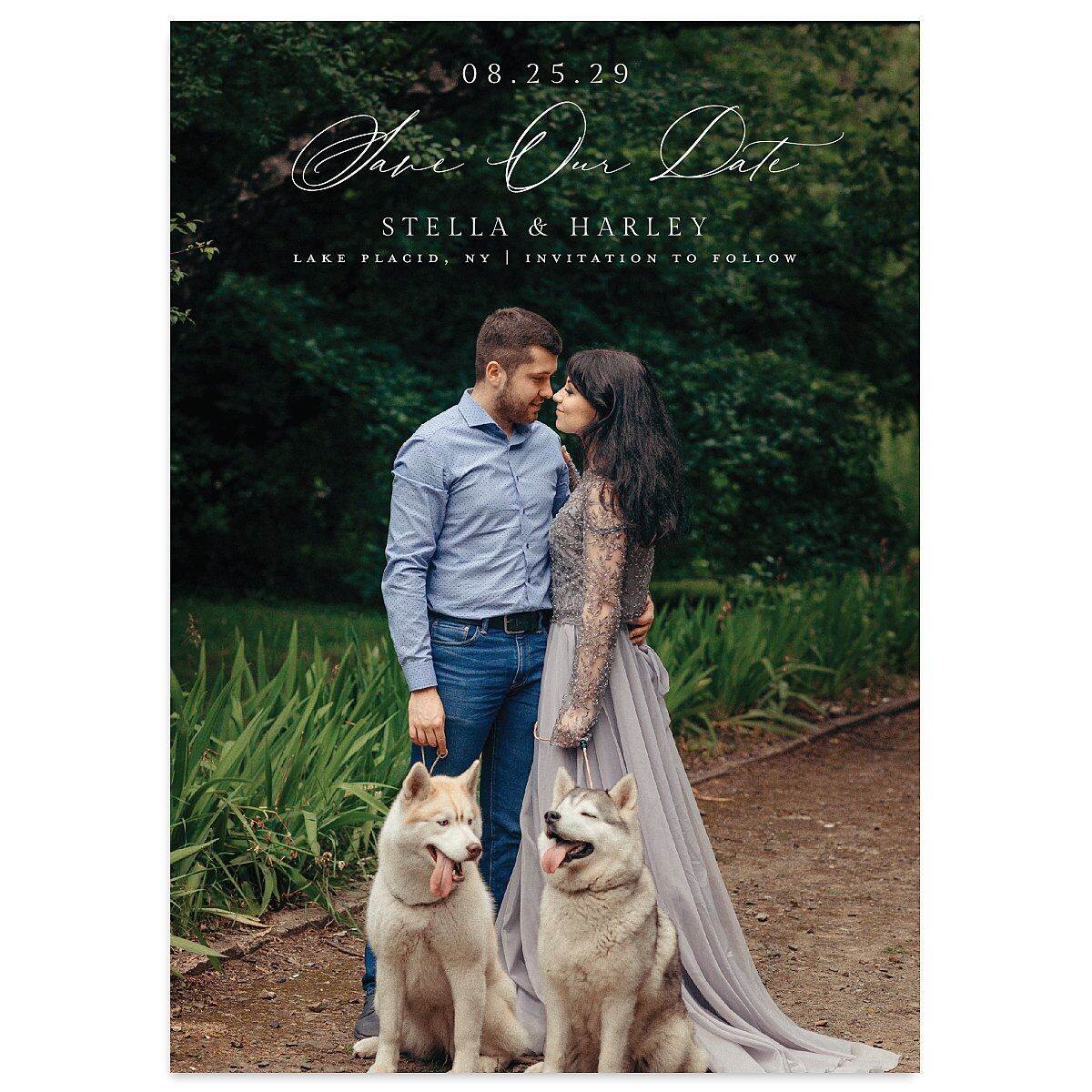 Delphinium Crest Save the Date Cards