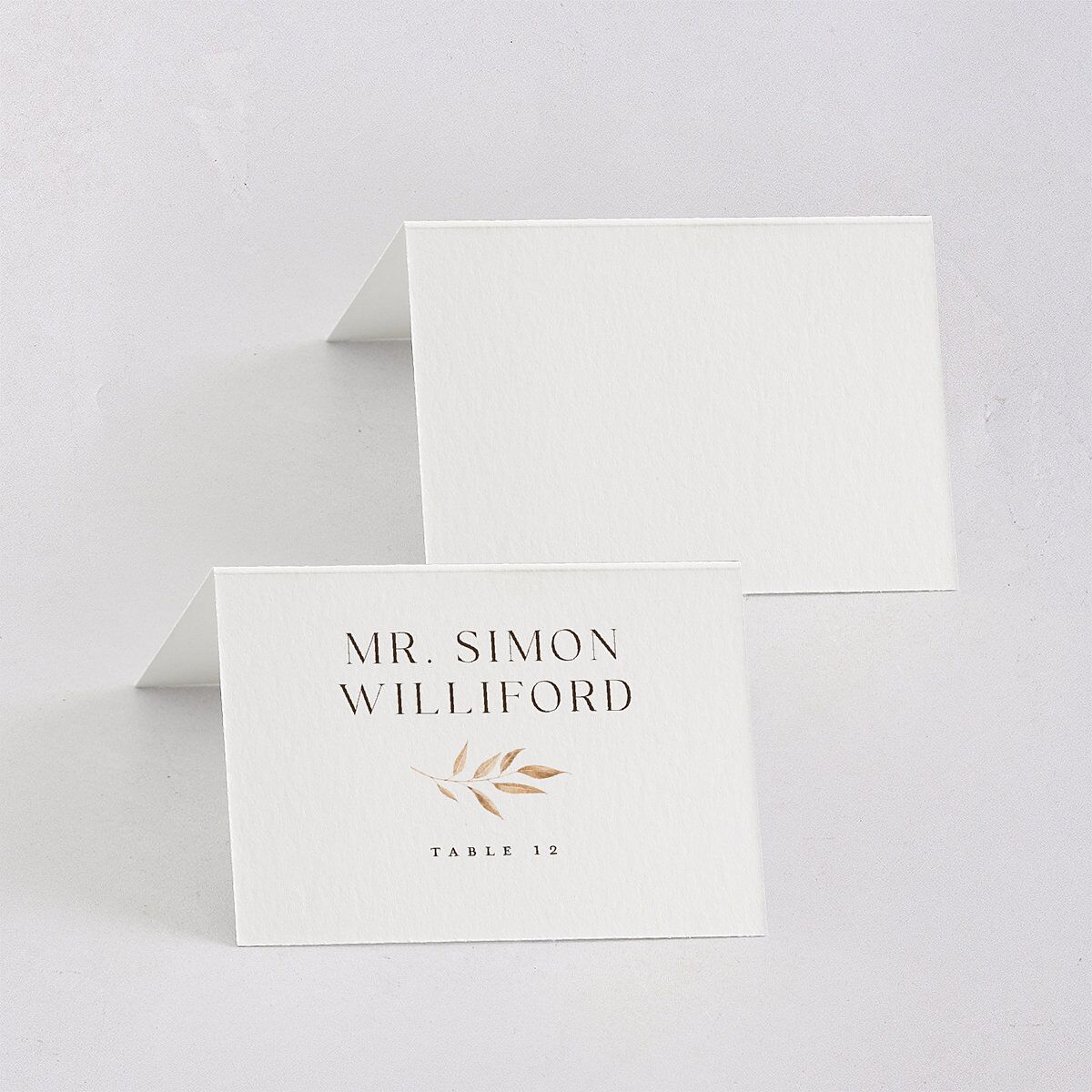 Leafy Rustic Monogram Place Cards Raw Sienna Signature