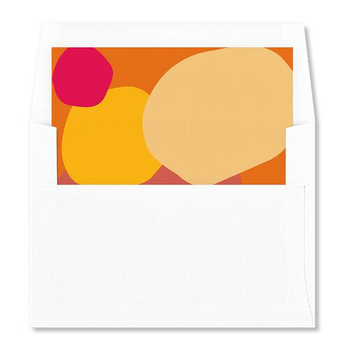 Santa Cruz Bilingual Foreign Language Standard Envelope Liners Tangerine Standard