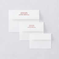 Adventure Icon Thank You Card Envelopes White Standard Ruby Both Recipient and Return Addresses Signature