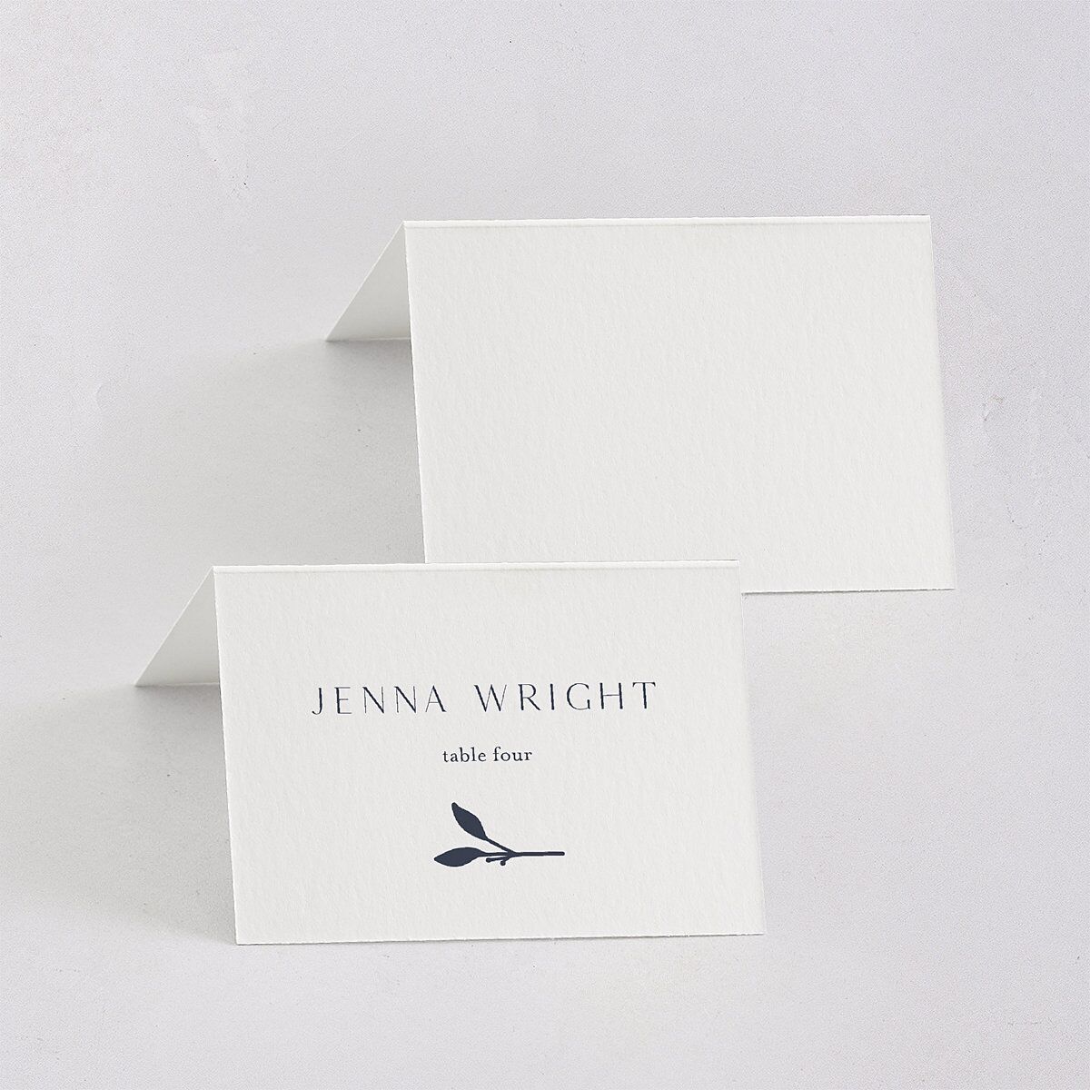 Gilded Sprigs Place Cards Moody Blue Signature