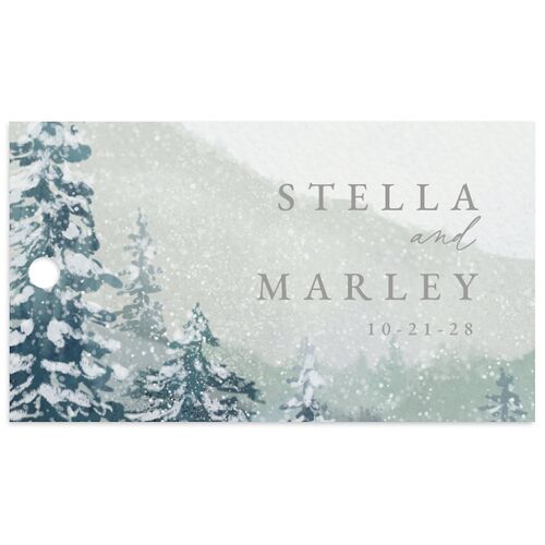 Painted Mountains Favor Gift Tags Zinc Pearlescent
