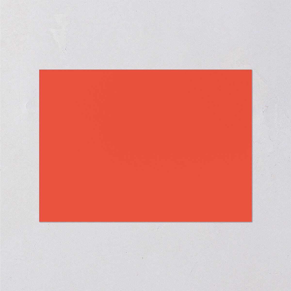 Color del Amor Wedding Enclosure Cards Salmon Signature