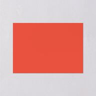 Color del Amor Wedding Enclosure Cards Salmon Signature