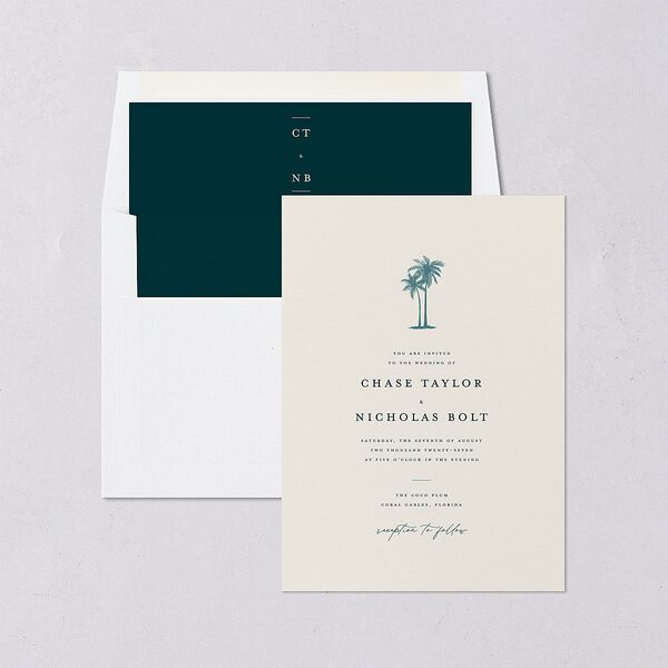 Palm Tree Icon Envelope Liners Tide Pool Standard