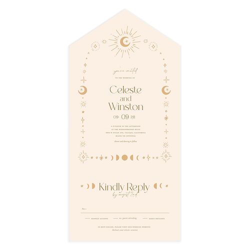 Celestial Galaxy All-in-One Wedding Invitations Sand Signature Light Both Recipient and Return Addresses No