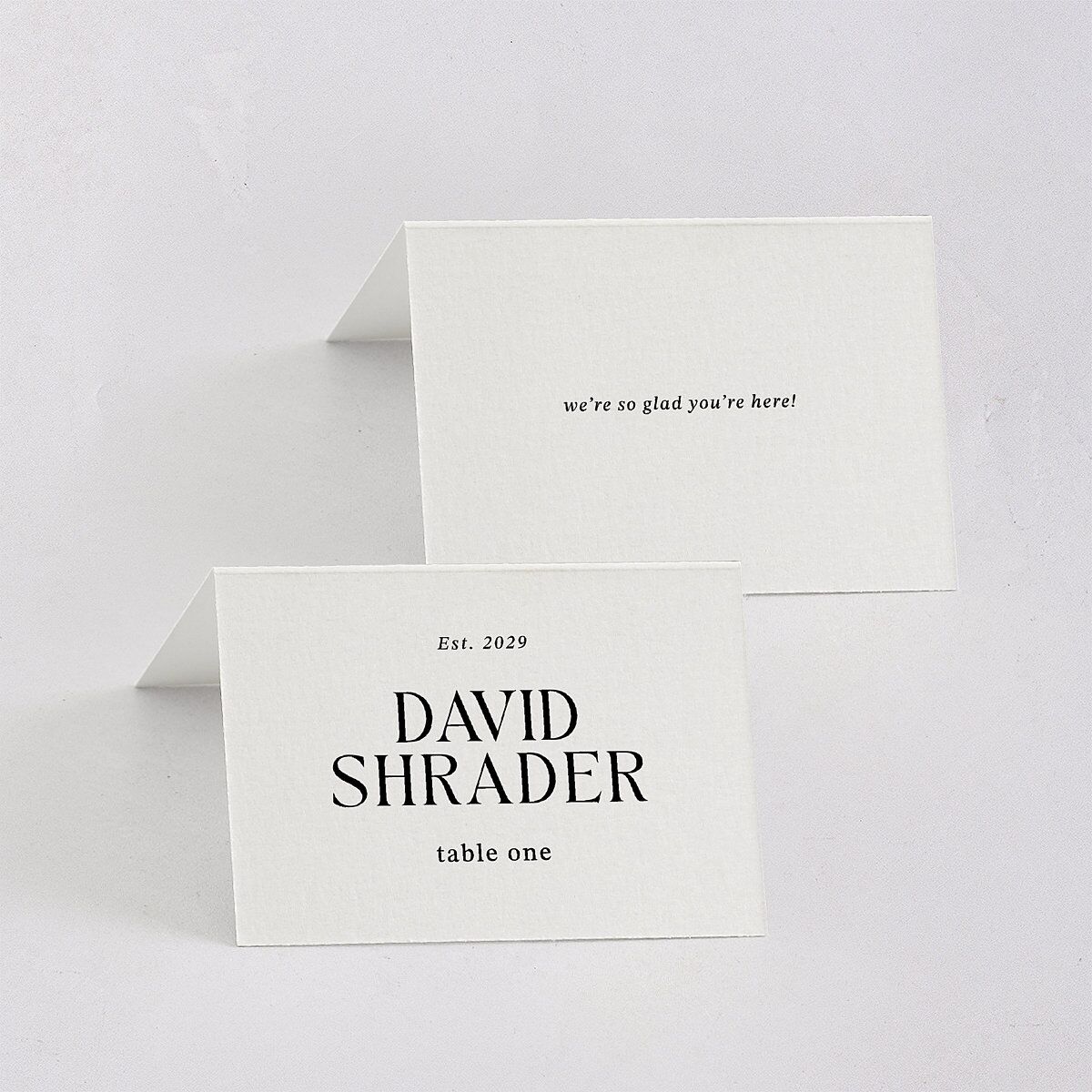 Elegant Minimalist Place Cards Pure White Signature