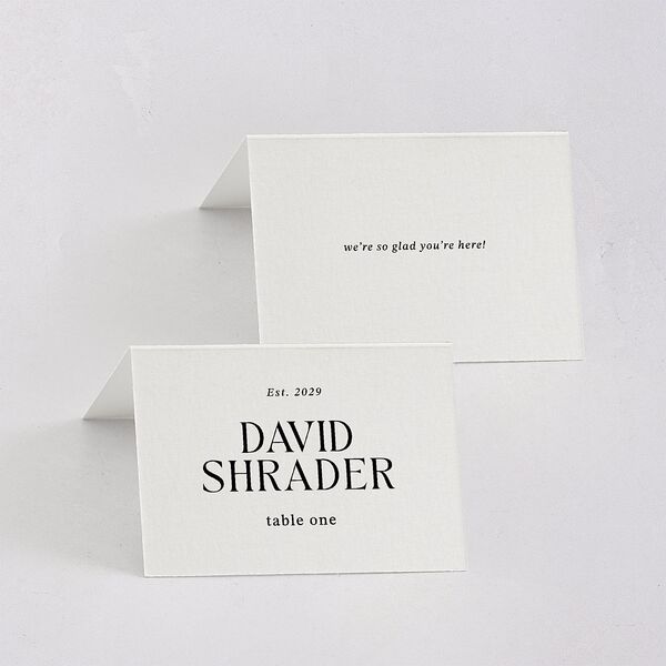 Elegant Minimalist Place Cards Pure White Signature