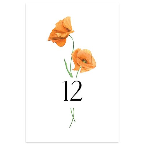 Wild Poppies Table Numbers Burnt Orange Signature