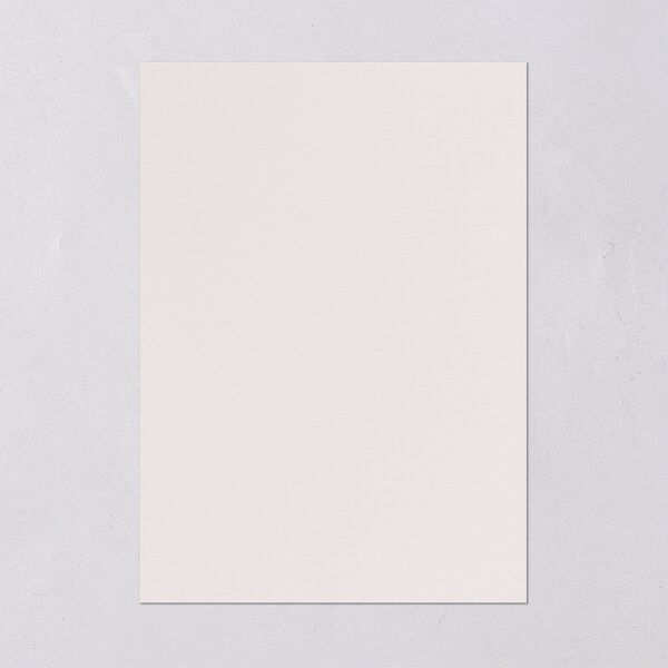 Wild Vines Bridal Shower Invitations Soft Pink Signature Blank Standard