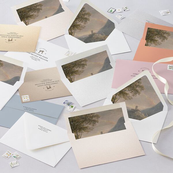 Romantic Fantasy Wedding Invitations Champagne Signature Blank No Standard