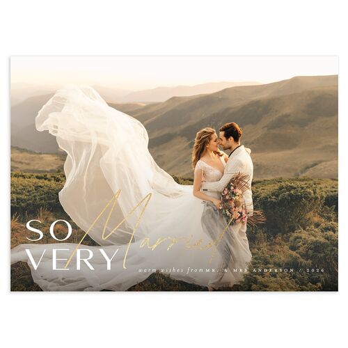 So Very Married Holiday Cards Gold Regency Blue Signature Blank Standard Landscape