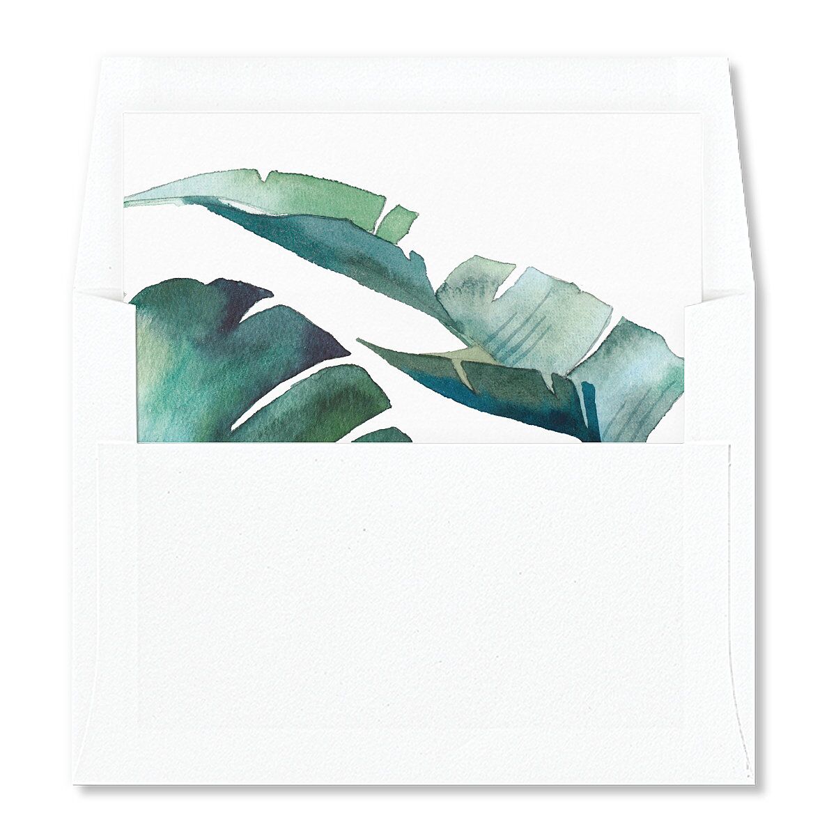 Palm and Protea Standard Envelope Liners