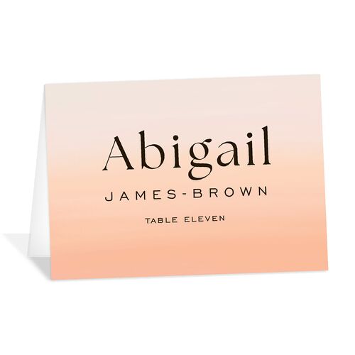 Desert Cactus Place Cards Peach Fuzz Signature