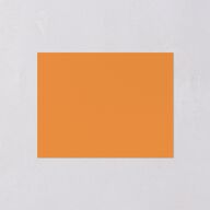 Retro Sunburst Save the Date Petite Cards Pumpkin Signature smooth Blank No Standard