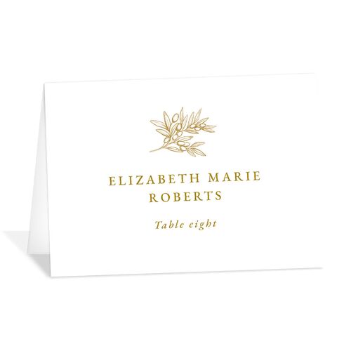 Elegant Italian Toile Place Cards Gold Signature