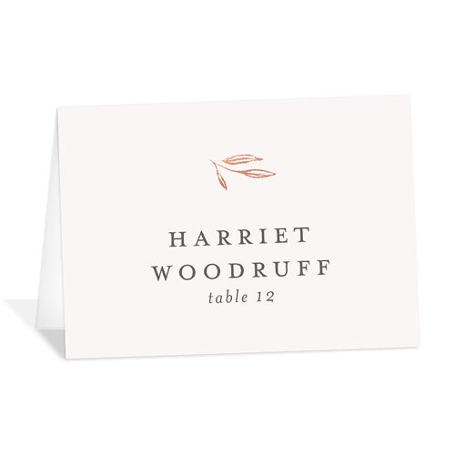 Shining Sprig Place Cards Rose Gold Mist Signature