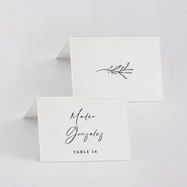 Rustic Setting Place Cards Medieval Grey Signature