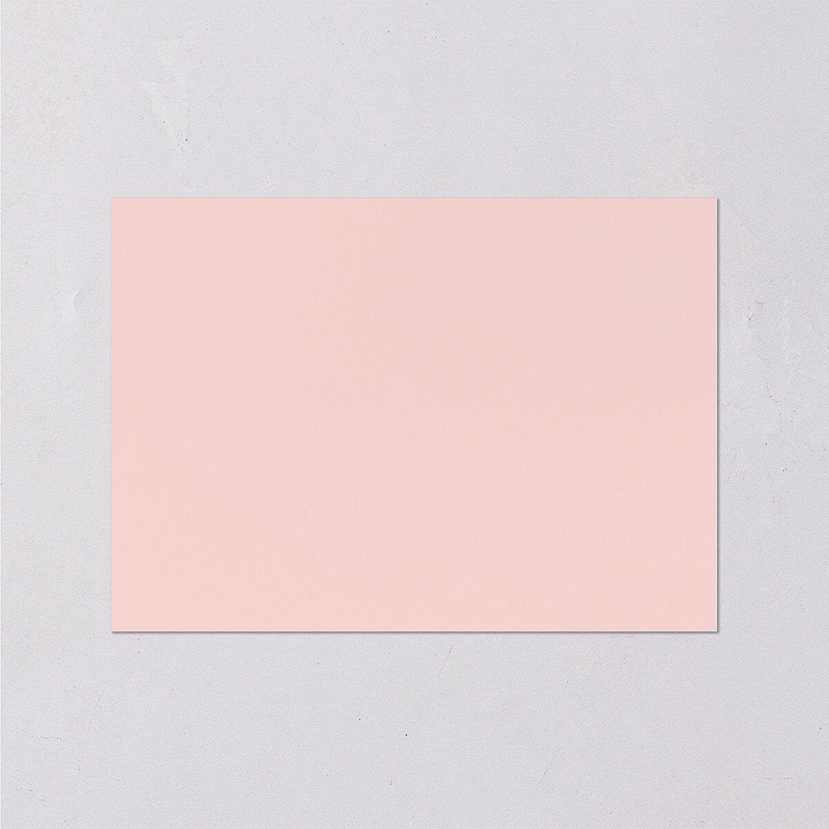 Delphinium Crest Wedding Enclosure Cards Shell Pink Signature Standard