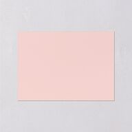 Delphinium Crest Wedding Enclosure Cards Shell Pink Signature Standard