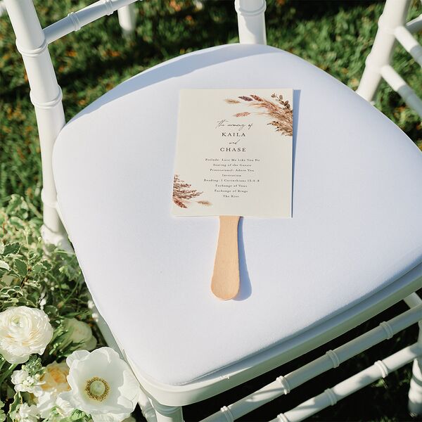 Soft Pampas Botanical Fan Programs Sepia Signature Standard