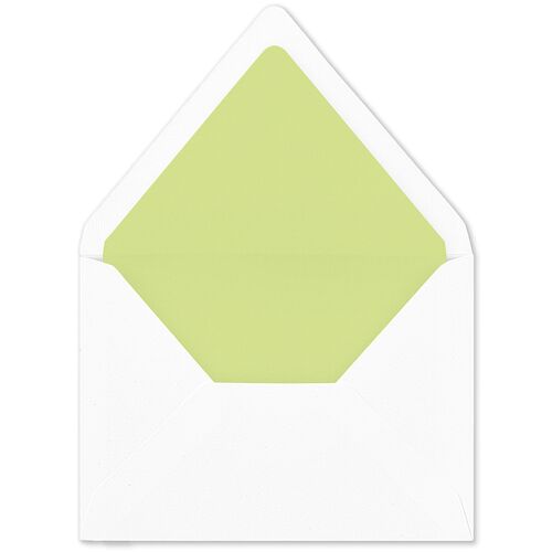 Picture This Photo Euro Envelope Liners Greenery Luxe
