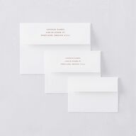 Striking Scene Thank You Card Envelopes White Standard Dusty Rose Both Recipient and Return Addresses Signature