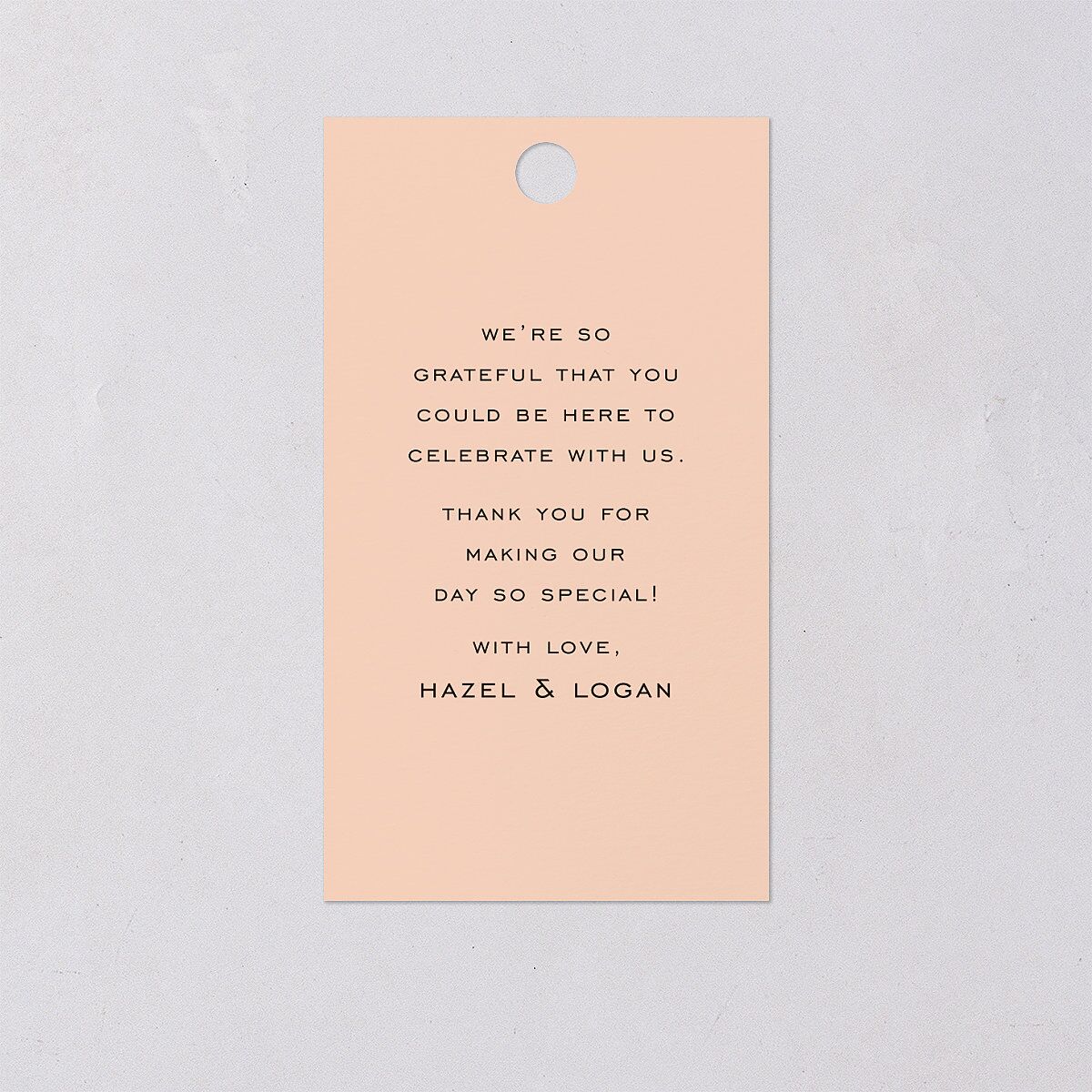 Desert Cactus Favor Gift Tags Peach Fuzz Signature