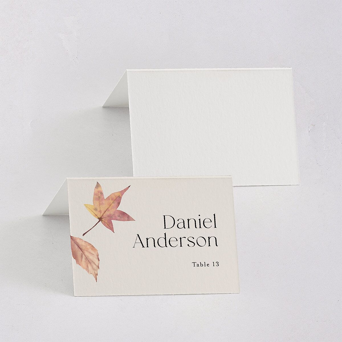Falling Leaves Place Cards Chestnut Signature