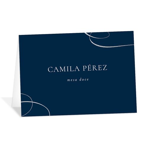 Nuestra Boda Place Cards Silver Navy Signature