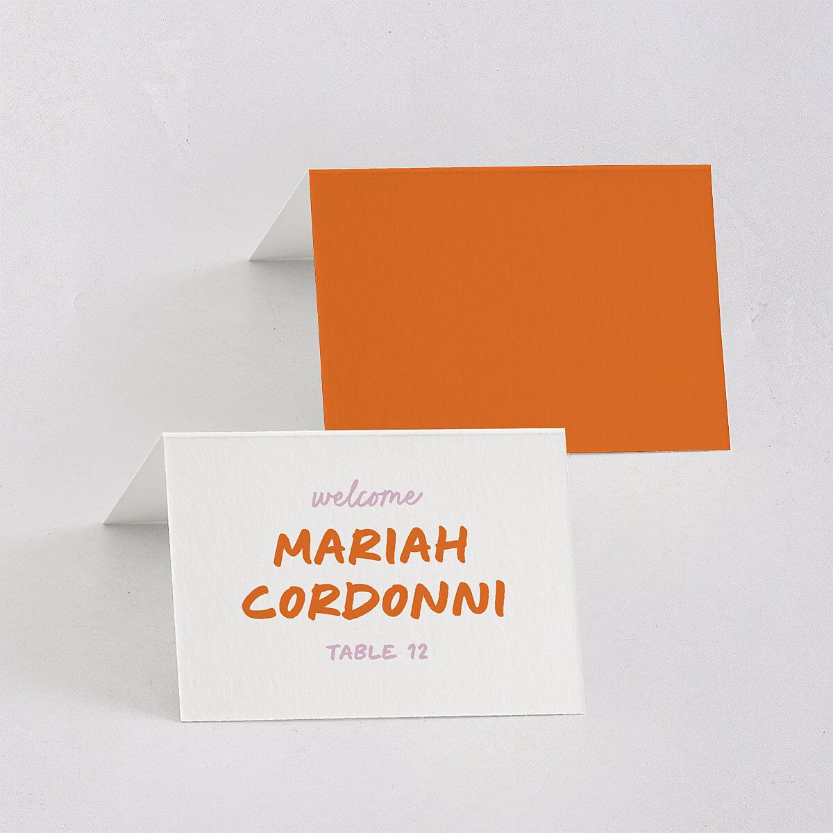 Modern Marker Place Cards Tangerine Signature