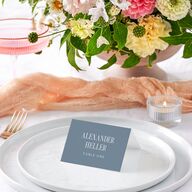 Elegant Wedding Of Place Cards Dusty Blue Signature