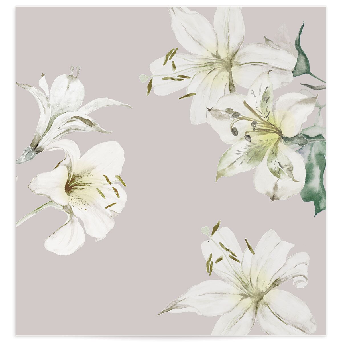 Hawaiian Tropical Lilies Envelope Liners Eucalyptus Standard