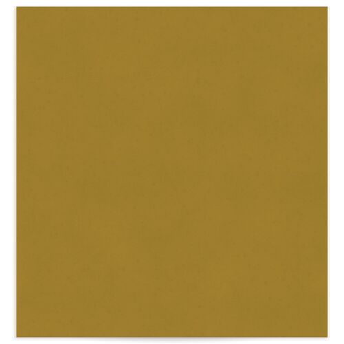 Golden Age Envelope Liners Saddle Standard