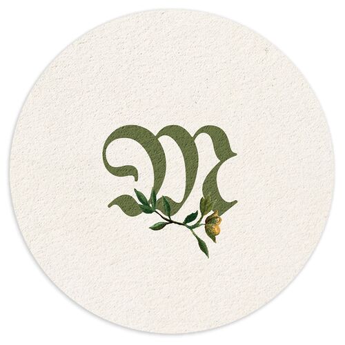 Medieval Renaissance Wedding Day Coasters Moss Cardboard Circle
